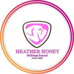 Питомник HEATHER HONEY🍯 - @heather_honey_bulldogs - Instagram