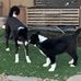 Heather Ormsby - Facebook