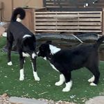 Heather Ormsby - @ormsbyht - Instagram