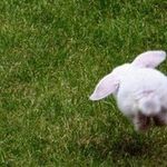 Heather Otis - @cuteevilbunny - Instagram