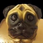 heather pace - @paceofcakebakery - Instagram