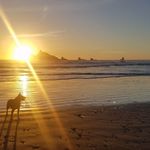 Heather Pardue - @fishcarbon - Instagram