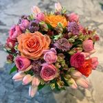 Heather Pardue - @thistle.heathertx - Instagram