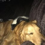 heather pardue - @pardue5307 - Instagram