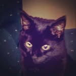 Heather Parent - @parentheather11 - Instagram