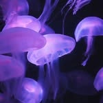 heather - @heather_parson_ - Instagram