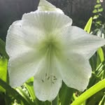 Heather Parson - @parson2028 - Instagram