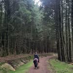Heather Parsons - @heatherparsons99 - Instagram