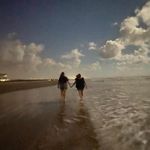 Heather Henry Paschal - @heatherlovesfrogs - Instagram