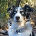 Heather Passmore - Facebook
