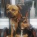 Heather Patrick - Facebook