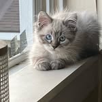 Heather Patten - @tylersmom49 - Instagram
