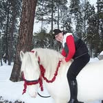 Heather Pauley - @prancingponydiscounts - Instagram