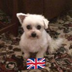 Heather Paxton - Facebook