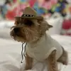 Heather C Pechacek - @heatherpeacock24 - TikTok
