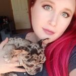Heather Peacock Land - @rory.the.merle.frenchie - Instagram