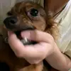 TRALALEO TRALALA - @heather_pearl - TikTok
