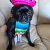 Heather Pederson - Facebook