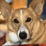 Heather Baldwin - @heatherpedrickbaldwin - Instagram