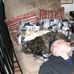 Heather Robjohns- Peruzzi - Facebook