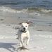 Heather Peeples - Facebook