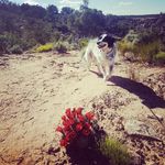 Heather Peeters - @heatherpeeters - Instagram