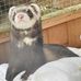 Heather Penk - Facebook