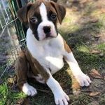 Heather Peralta - @f3ath3r.21 - Instagram