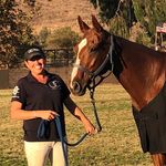 Heather Perkins - @hp_polo - Instagram