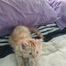 Heather Purnell - Facebook