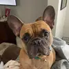heather peyton - @beluc1204 - TikTok