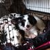 Heather Philpott - Facebook