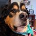 Heather Philpott - Facebook