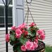 Heather Philpott - Facebook