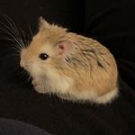 heather pickle - @heather_pickle - Instagram