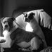Heather Pitre - Facebook