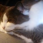 Heather Platt - @heather.platt.77 - Instagram