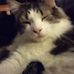 Heather Plemmons - Facebook