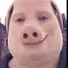 Heather - @heatherpork - TikTok