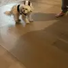 Heather Popoff - @heather.popoff - TikTok