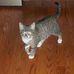 Heather Poitras - Facebook