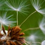 Heather Polacek - @hiphotography0108 - Instagram