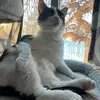 Heather Polakiewicz - @heatherpolaki92 - TikTok