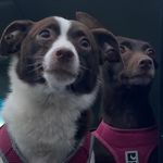 Heather Fairchild - @heatherpolandfairchild - Instagram