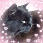Heather Pollard - @heather.pollard.5494 - Instagram
