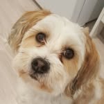 Heather Pollock - @hpollock1958 - Instagram