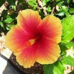 Heather Polly - @heatherrenea208 - Instagram