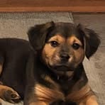 Heather Hryzan - Facebook
