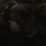 Heather Pond-Walsh - @pondwalsh - Instagram