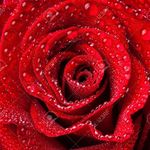 Heather Ponder - @heather.ponder.58 - Instagram